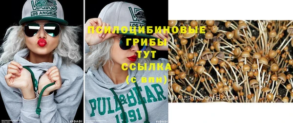 стаф Верхний Тагил