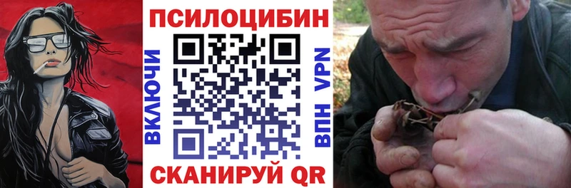 Псилоцибиновые грибы MAGIC MUSHROOMS  Купить закладки  Опочка 